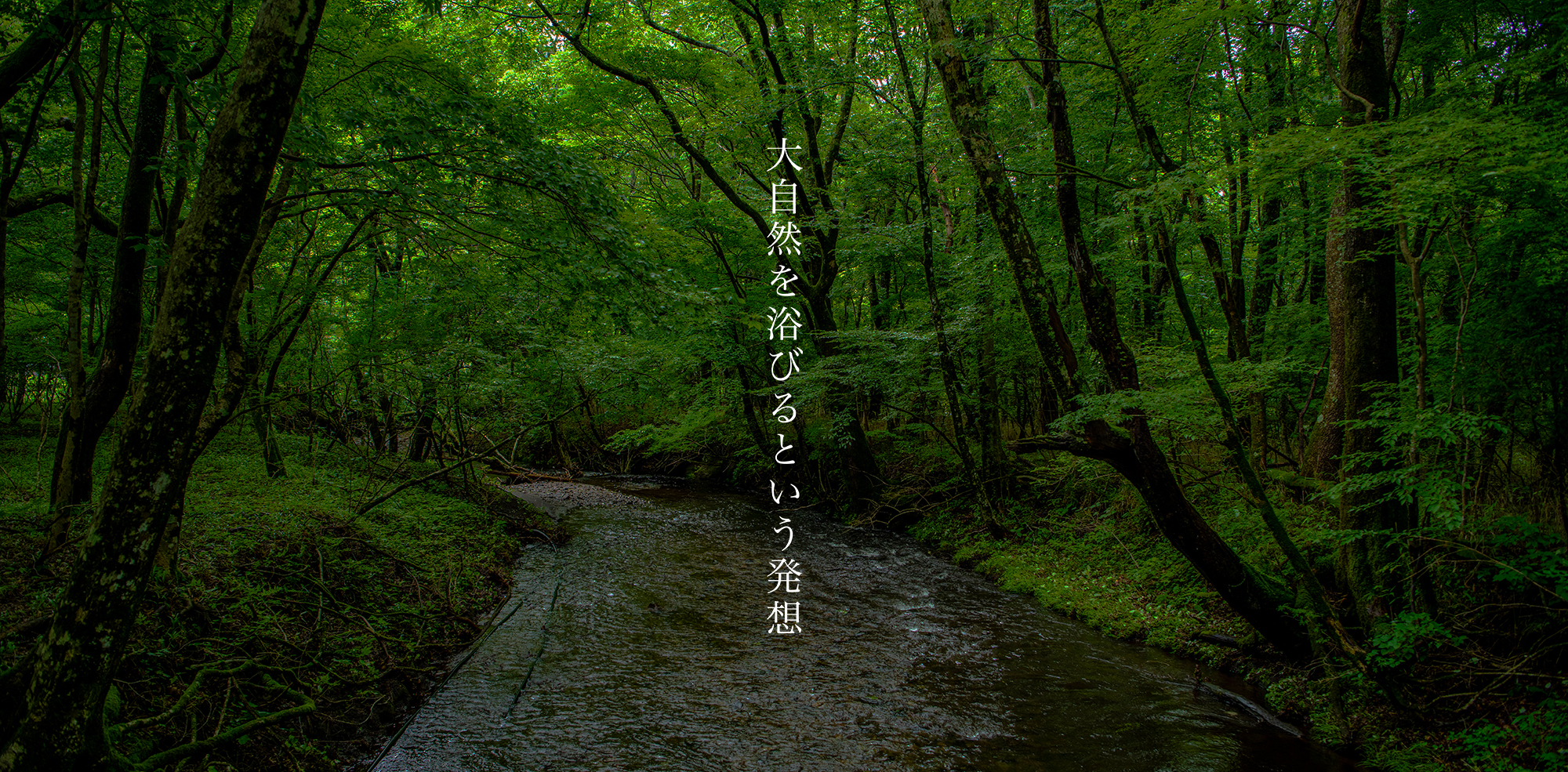 アートボード 6000
